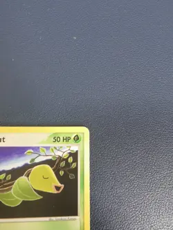 Pokemon Card Bellsprout 53/112 EX FireRed & LeafGreen Common - Image 3