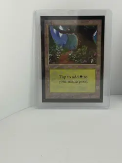 International Edition - IE Forest NM-Mint, English MTG - Image 1