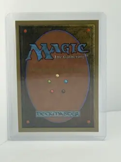 International Edition - IE Forest NM-Mint, English MTG - Image 2