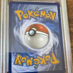 Pokemon Bloodmoon Ursaluna ex 202/167 Sv06 Ultra Rare Holo PSA 10 2024 - Image 5