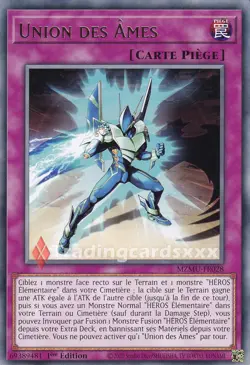 Yu-Gi-Oh! Union des Ames : R MZMU-FR028 - Image 1