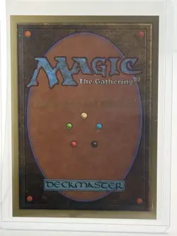 MTG Plains International Collector's Edition - Mint - Never Played - Image 2