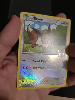 Eevee - 84/108 - Pokemon City Championships Crosshatch Holo Promo Rare LP - Image 3