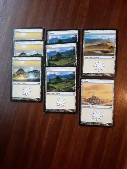 MTG 8 x Plains Basic Land Cards - Duel Decks: Elspeth vs Tezzeret - Image 1