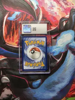 Pokemon Cgc 10 Squirtle #148 Corona Astrale Illustration Rare 2024 Inglese - Image 4