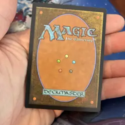 Sterling Grove Modern Horizons 2 Regular - Image 4