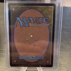 Magic: The Gathering Meticulous Archive Rare Land Murders at Karlov Manor 264 - Image 2