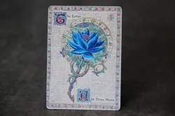 The Lotus, Medival Manuscript, MTG Satirical Fan Art Altered Art, Not Real Card - Image 3