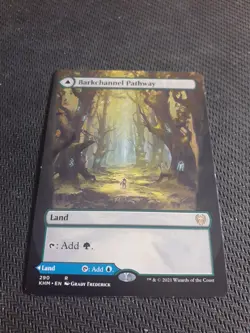 MTG ~ Barkchannel Pathway Tidechannel Pathway ~ (Extended Art) ~ Kaldheim - Image 1
