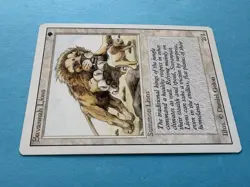 Savannah Lions - LP - Revised 3rd Edition - MTG - Image 2