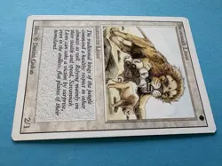 Savannah Lions - LP - Revised 3rd Edition - MTG - Image 4