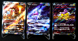 Entei 213/172 Suicune 215/172 Raikou 218/172 SAR Set S12A Japanese Pokemon Card - Image 1