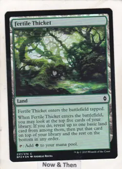 Magic: MTG: Battle for Zendikar: Foil: Fertile Thicket - Image 1