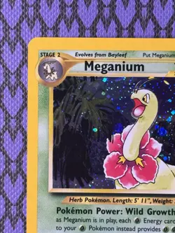 Pokemon TCG Meganium 11/111 Neo Genesis Holo Rare 2000 - Image 3