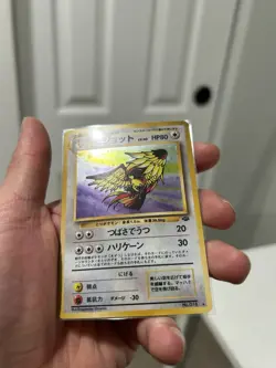 Pidgeot Pokemon Jungle Holo (Japanese) - Image 3