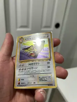 Pidgeot Pokemon Jungle Holo (Japanese) - Image 5