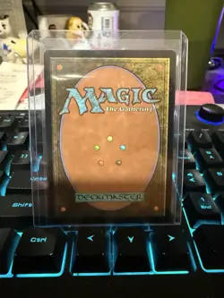 Paradise Chocobo - Birds of Paradise (Borderless) Commander: Final Fant Foil NM - Image 2