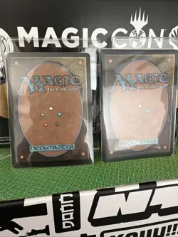 MTG Tevesh Szat, Doom of Fools and Rograkh, Son of Rohgahh (Hand Painted Alters) - Image 4