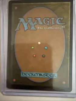 Foil Rhystic Study NM Wilds of Eldraine: Enchanting Tales (WOT) - Image 4