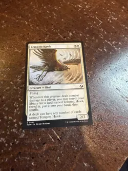 Tempest Hawk Tarkir: Dragonstorm Regular - Image 1