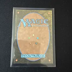 MTG Appa, Steadfast Guardian - Borderless, NM, English Avatar: The Last Air 316 - Image 2