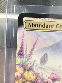 MTG Lorwyn Eclipsed Extended Art Abundant Countryside - Image 3