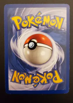1st Edition Pokemon TCG Fossil Kabutops 24/62 Rare Non-Holo Vintage Card - LP - Image 4
