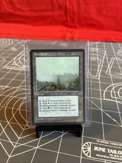 Vintage 1995 MTG Ice Age Brushland Card - Image 3