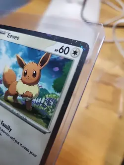 POKEMON 043 BLACK STAR PROMO EEVEE 043 COSMO HOLO MINT - Image 2