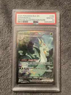 PSA 10 Serperior EX Special illustration Rare 2025 Pokemon Black Bolt 164/086 - Image 1