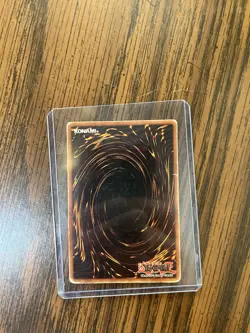 Blue Eyes White Dragon Limited Edition - Image 3