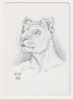 Signed Purraj of Urborg Proof Sketch LP Mirage Artist John Matson MTG Magic AP! - Image 1