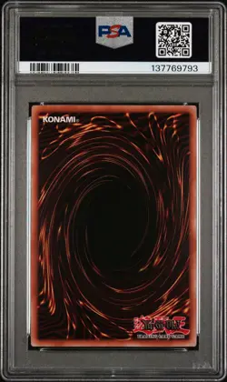 2024 Yu-Gi-Oh! Blue-Eyes White Dragon KC01 Secret Rare PSA 10 GEM MINT - Image 2