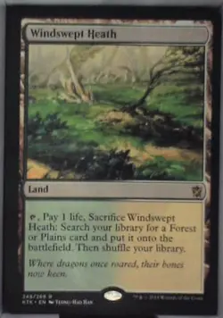 Windswept Heath - Khans of Tarkir: #248, Magic: The Gathering Nm C277 - Image 1