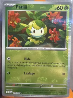Pokemon Black Bolt Petilil 006/086 (Masterball Pattern) Holo NM - Image 1