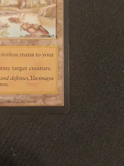 Magic the Gathering Yavimaya Hollow Card Urza's Destiny WoTC MP - Image 5