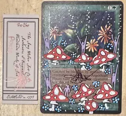 MTG Argothian Pixies Alter Altered Sketch Art Amy WEBER Magic - Image 1