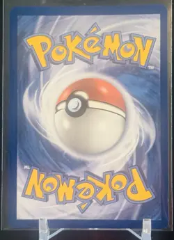 Shuckle - Pokemon - Illustration Rare ME01: Mega Evolution 136/132 NM - Image 2