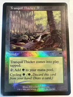Foil Tranquil Thicket - Onslaught - MTG, Magic The Gathering - Image 1