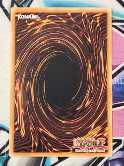 Red-Eyes Black Dragon SBCB-EN167 Secret Rare 1st Ed Speed Duel YUGIOH Text Fade - Image 2