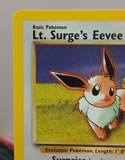 Lt. Surge's Eevee 51/132 Gym Challenge Regular Pokemon Vintage NEAR MINT - Image 2
