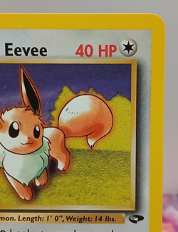 Lt. Surge's Eevee 51/132 Gym Challenge Regular Pokemon Vintage NEAR MINT - Image 3