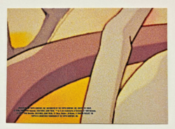 ** 1999 Topps ** Pokemon " Squirtle " Movie Edition Sticker ** LP Condition ** - Image 2