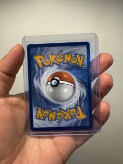 Squawkabilly ex 247/193 Holo Full Art Rare - Paldea Evolved - Pokemon TCG - Image 2