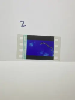 Pokemon Destiny Deoxys Movie Authentic 35mm Film Cell Rayquaza - Image 1