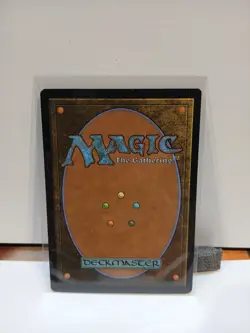 Vivi Ornitier Final Fantasy Regular - Image 2