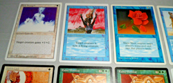 MTG Magic Rabbid Wombat / Enchantress Partial Deck Vintage Cards x12 (NM/LP/MP) - Image 5