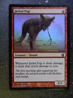 MTG Cards: JACKAL PUP FOIL # 5C29 - Image 1