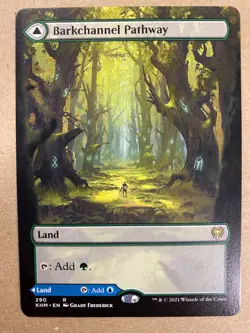MTG 1x BORDERLESS Barkchannel Pathway Tidechannel 290 Zendikar Rising x1 NM - Image 1