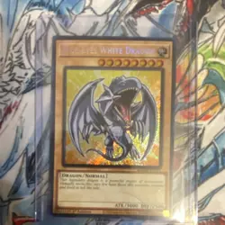 Yu-Gi-Oh! Blue-Eyes White Dragon 1st Edition Holo S1117-EN002 Normal Card - Image 1